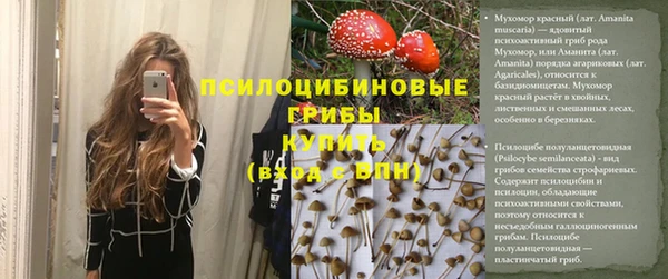 mdpv Алзамай