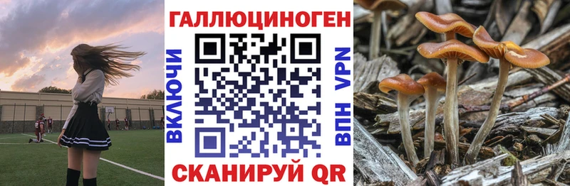 mega ССЫЛКА  Кола  Псилоцибиновые грибы мухоморы 